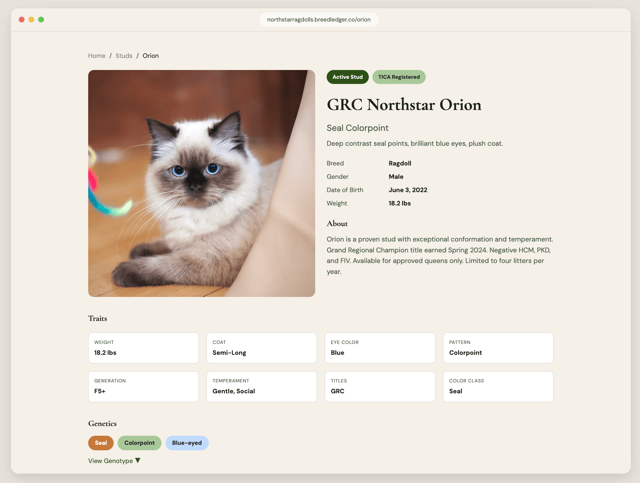Example cattery site on Breed Ledger